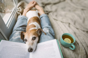 reading-dog-on-lap